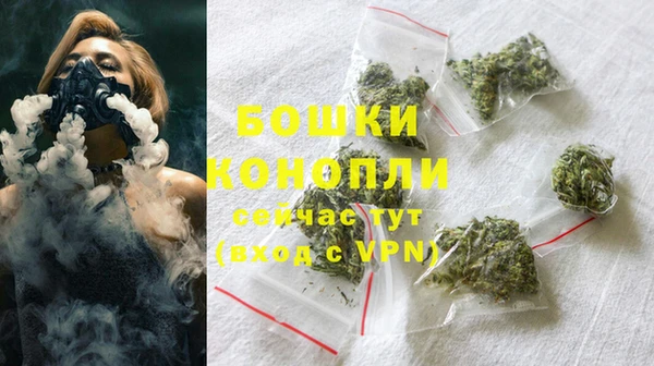 индика Балабаново