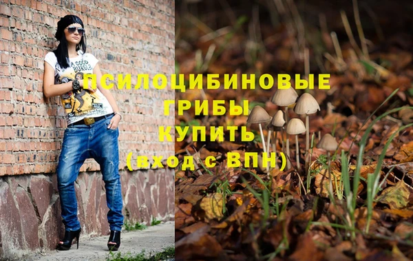 гашик Карталы