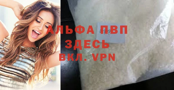 трава Карпинск
