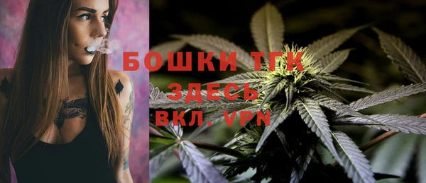 PSILOCYBIN Белоозёрский