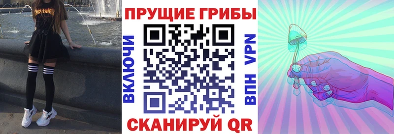 наркотики  Реутов  Галлюциногенные грибы Cubensis 
